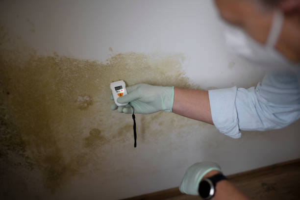 Best Mold Testing  in Grambling, LA