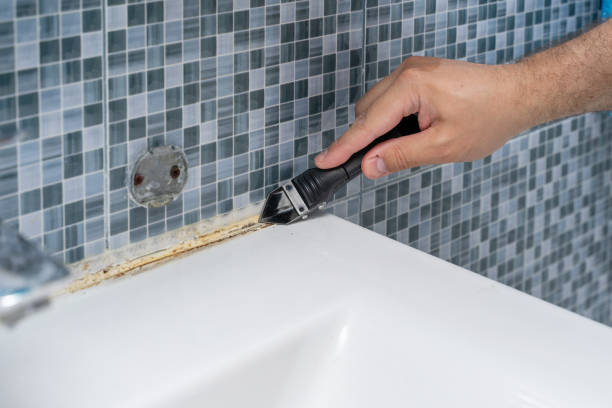 Best Professional Mold Removal  in Grambling, LA