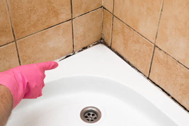 Best Emergency Mold Removal  in Grambling, LA